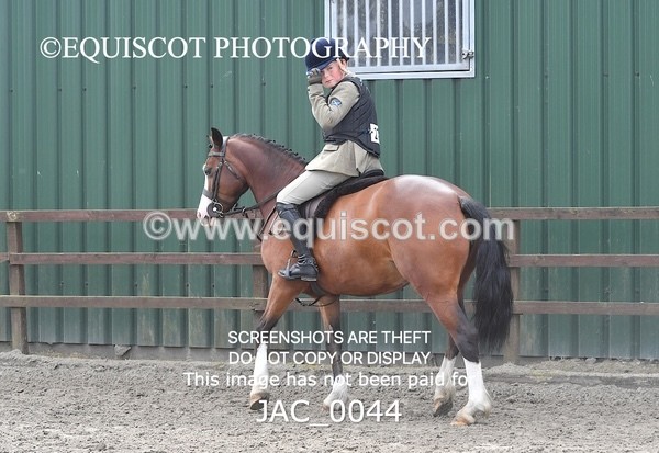 JAC_0044 - CLASS 3 Intermediate Working Hunter (0.70m - 0.85m)