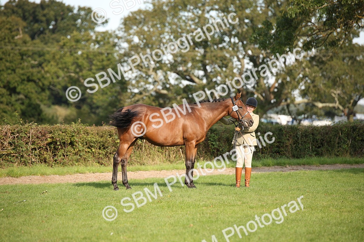 SBM_60068 - S53 - Hunter In Hand