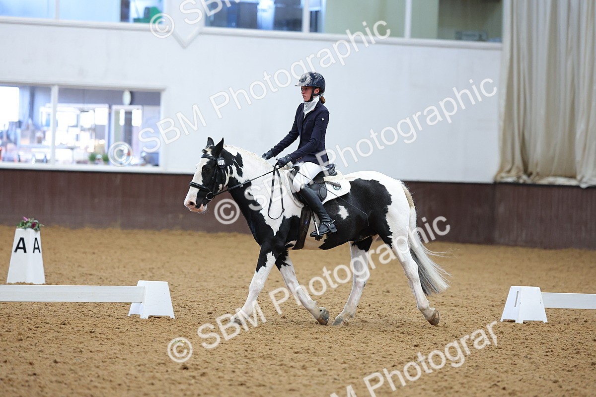 SBM_002610 - Novice
