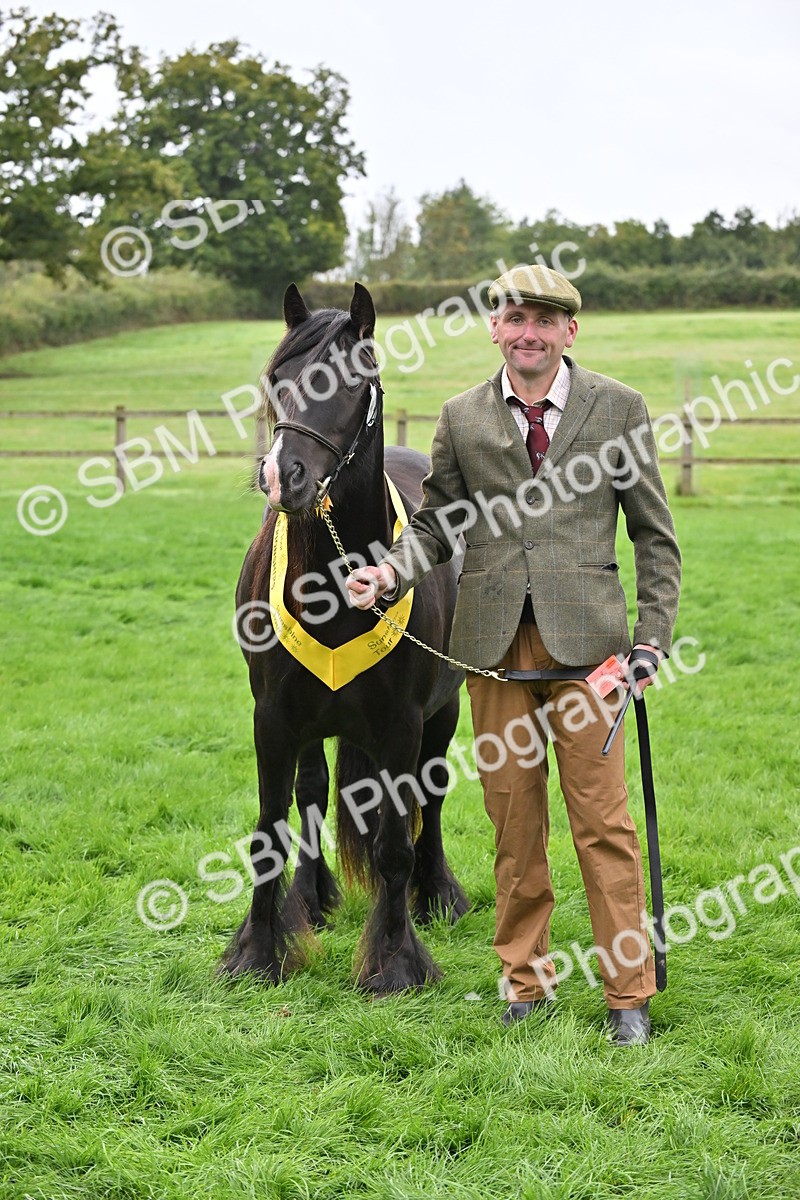 SBM_58159 - S47 - Mini Show Cob In Hand