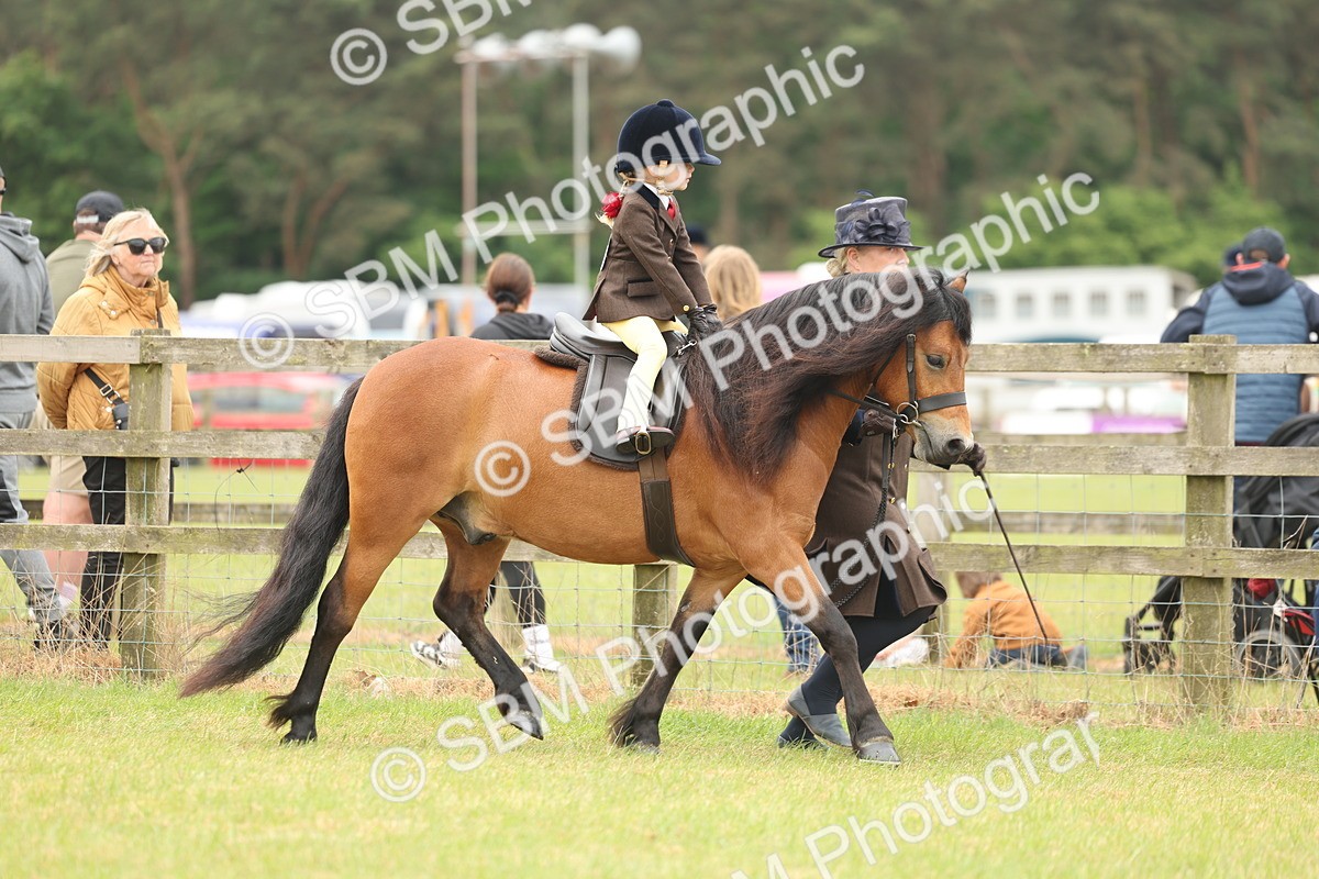 SBM_06716 - Class 74-75 - M&M Lead Rein and First Ridden Pony