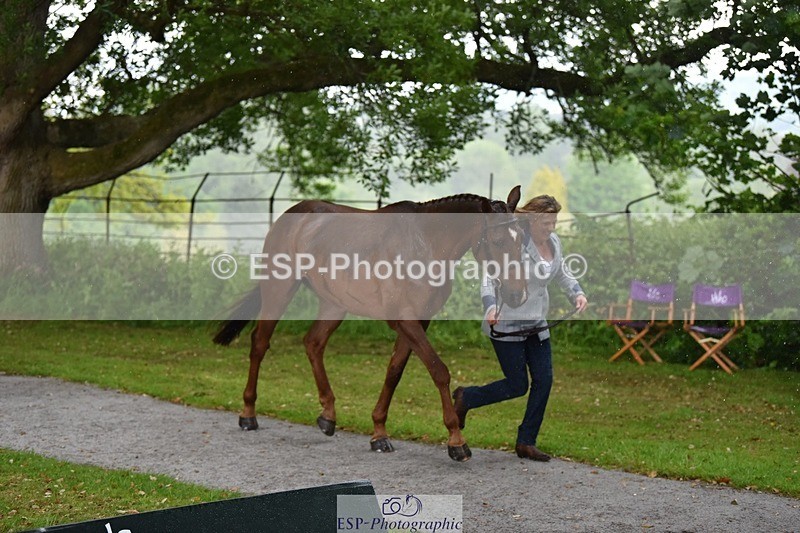 240522-151452-00200 - 307-CYMOON_''F''_Z-Kristina_Cook