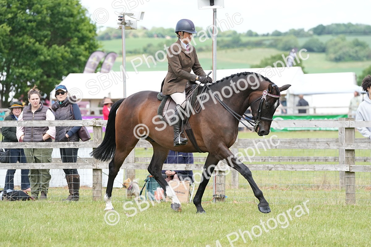 SBM_16237 - Class 105-106 - RIHS Riding Horses