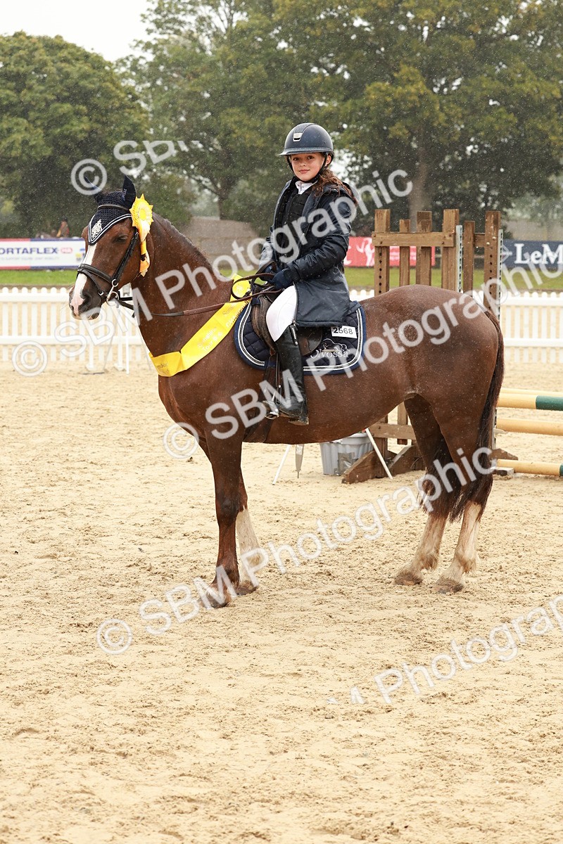 SBM_72218 - J14 - Junior Pony 65cm Championship