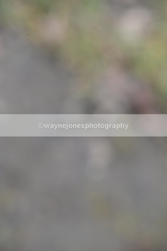 WJ6_2788 - Time 14:34 to 14:51