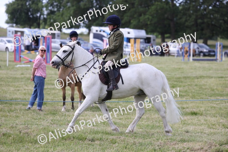 20260614-0667 - Class 20 - Beginners Working Hunter Pony