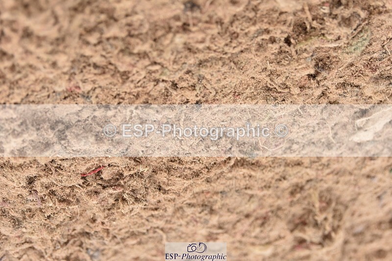 231011A-104148-00122 - Cls 1 British Novice & 90cm Open