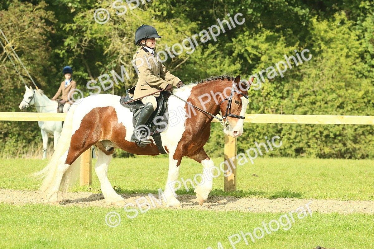 SBM_67388 - S56 - Coloured Pony Ridden
