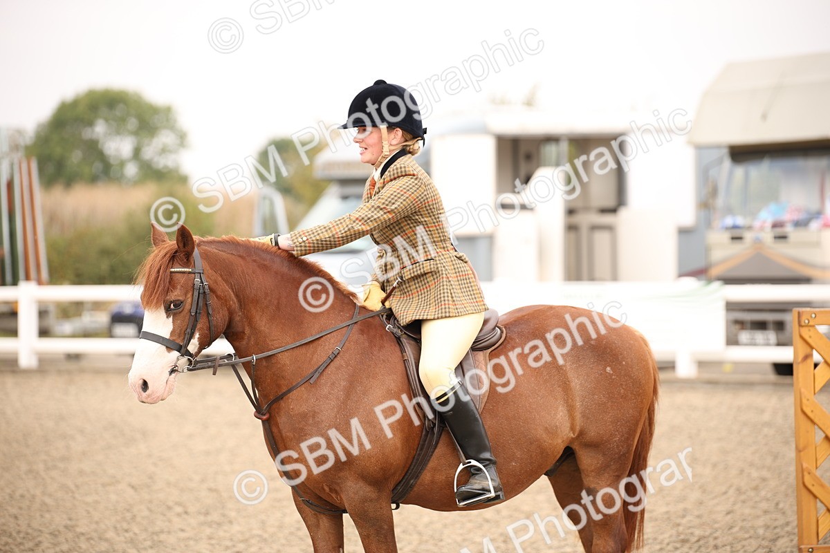 SBM_12276 - Class 405a - M&M Working Veteran 50cm (15-19)