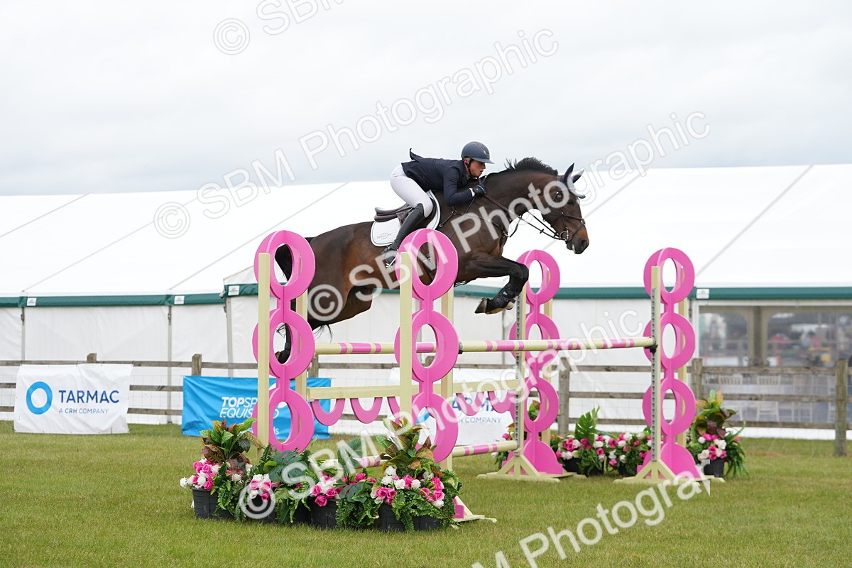 SBM_03068 - Class 201 - British Horse Feeds Speedi Beet Horse of the Year Show Grade  C
