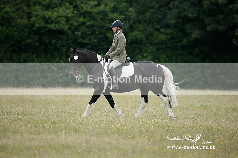 BVRC 030721 371 - Bourne Valley Riding Club Dressage 03/07/21