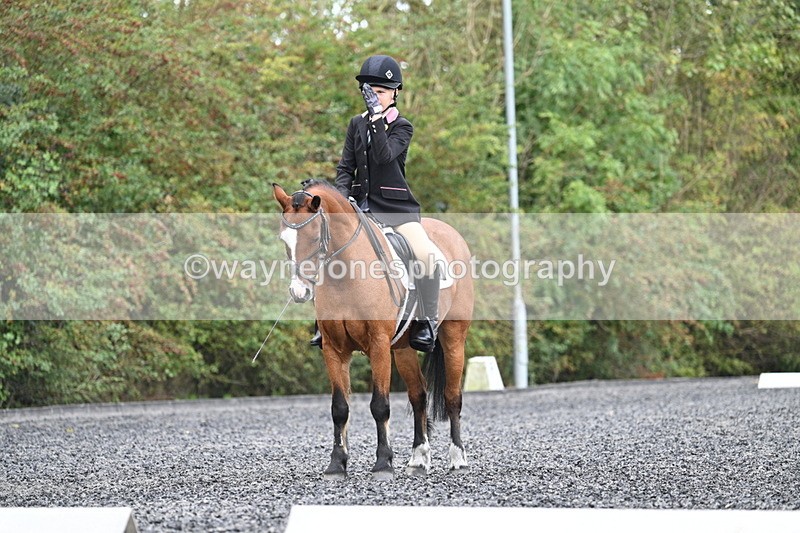 WJ7_4037 - Time 11:04 to 11:38