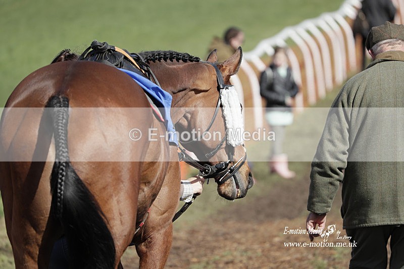 PtP 100423 681 - Old Berkshire Point-to-Point Lockinge 10/04/23