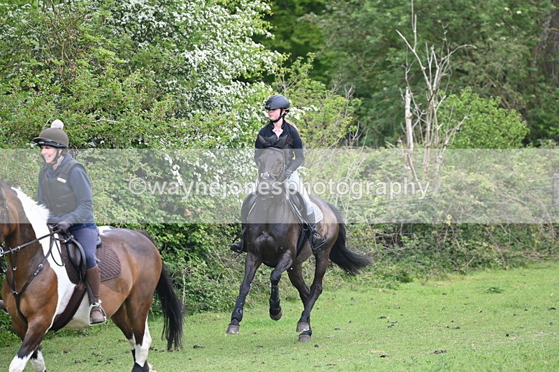 WJ6_2831 - A Camera