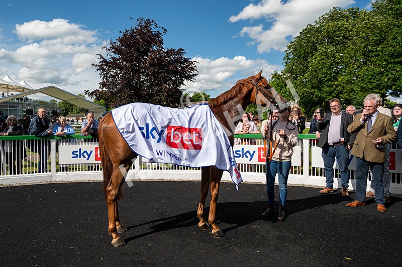 160624-Race 3-Mereside Diva-5524 - Race 3