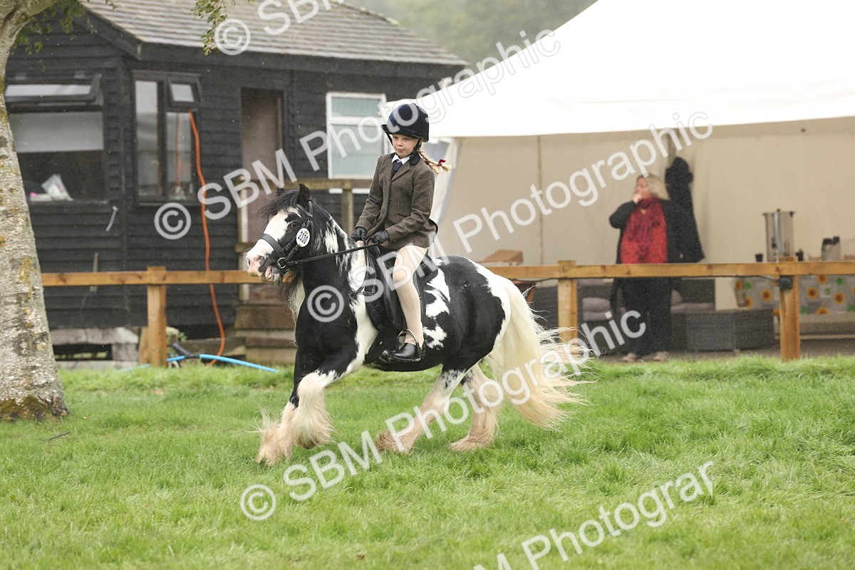 SBM_72823 - S70 - Traditional Cob Ridden