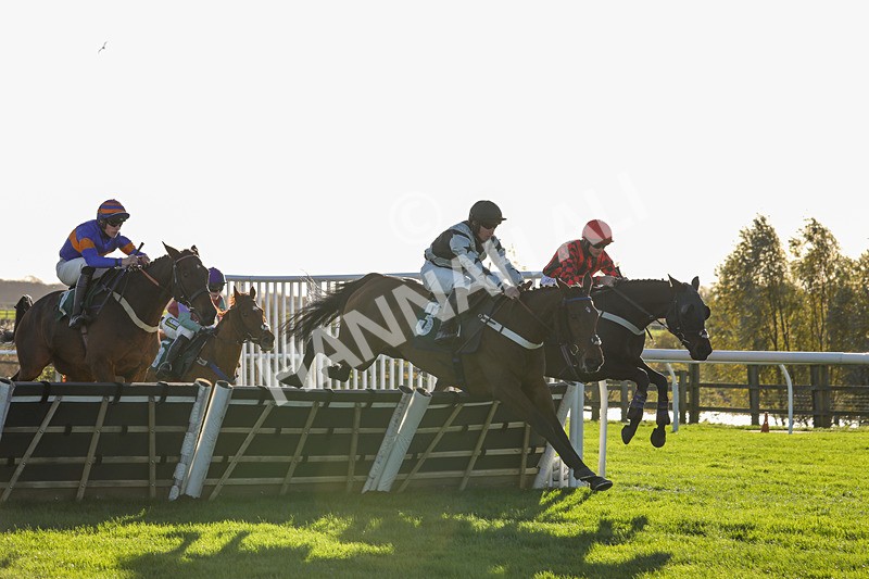 241123-Race 1-Onward Route-0805 - Race 1