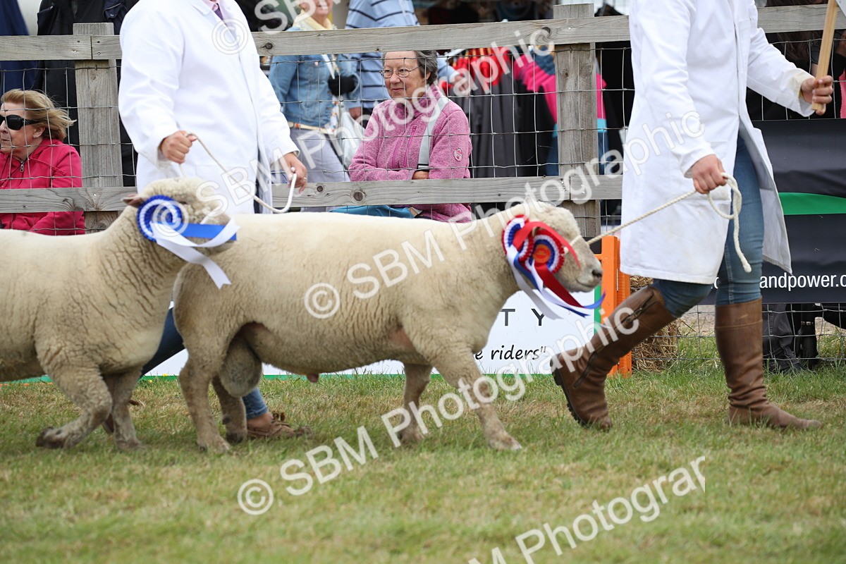 SBM_07798 - Grand Parade