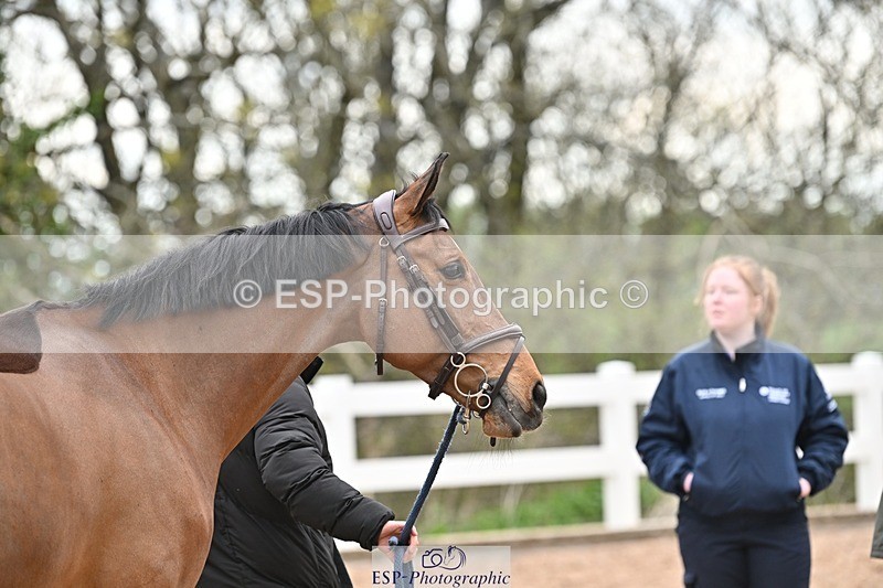 250423-162438-02139 - 4pm to 5pm