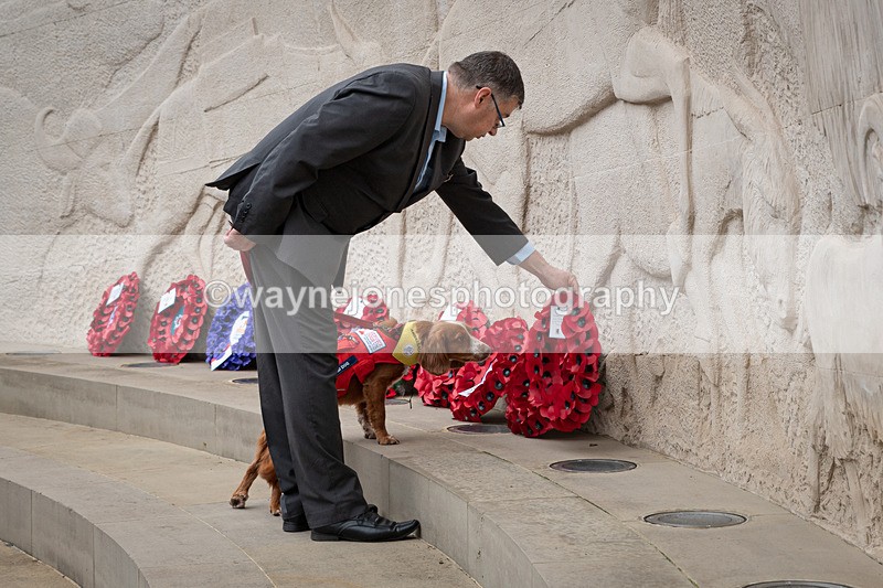 Z62_4616 - Animals In War Memorial 2025 - Park Lane, London