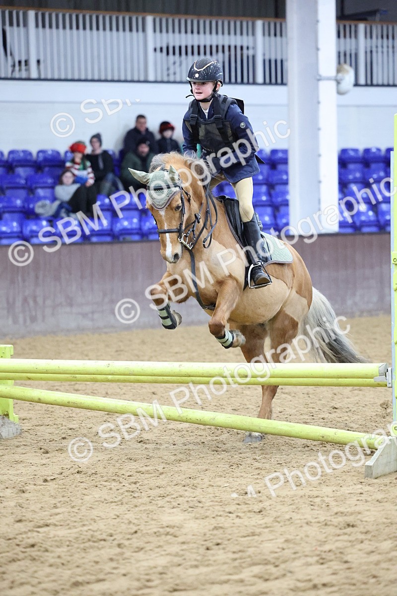 SBM_000992 - Class 3 - Christmas Tree Stakes - 60cm