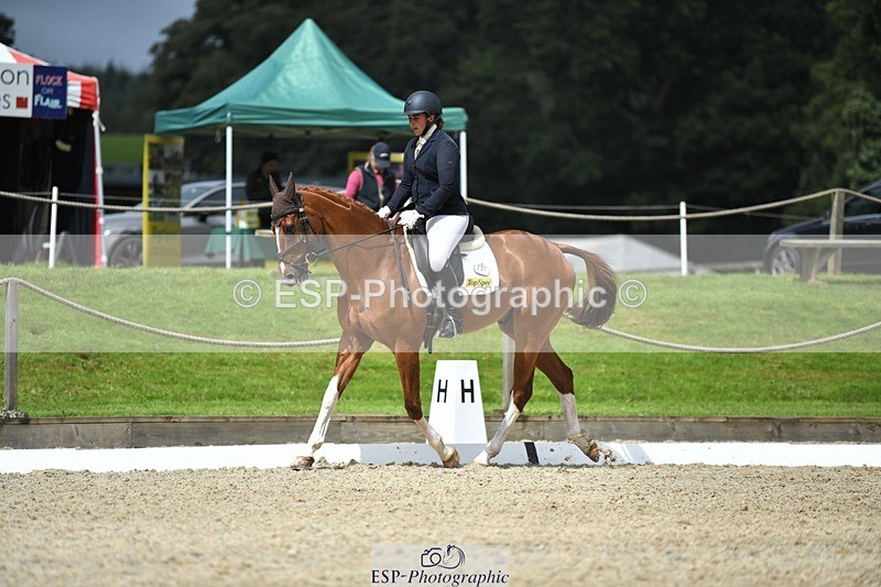 230812-122019-04087 - Cls 6 Novice Silver 12.10 to End