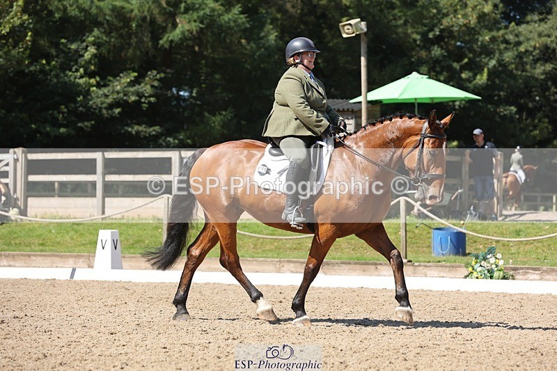 240719-105519-00821 - 169-Marion_Eaves-Indigo_Queen_of_Hearts