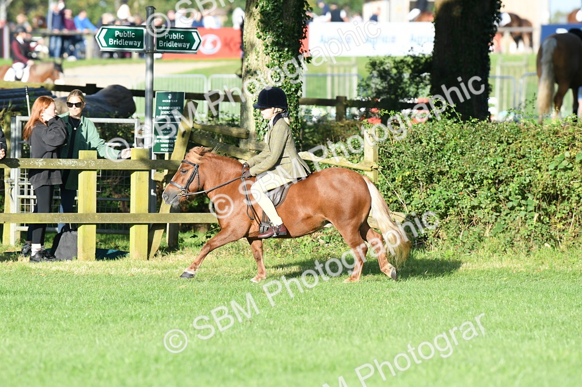 SBM_54074 - S23 - 1st Ridden Mountain & Moorland Pony