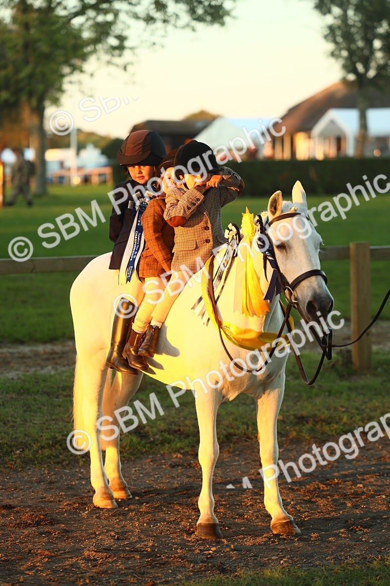 SBM_56745 - Fun & Versatile Supreme Championship