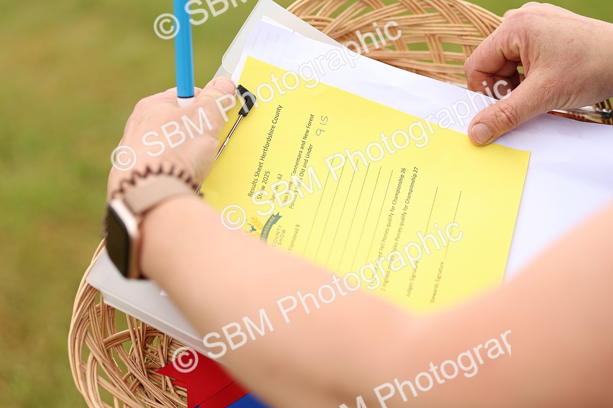 SBM_04041 - Class 64-67 - Shetland Pony In Hand
