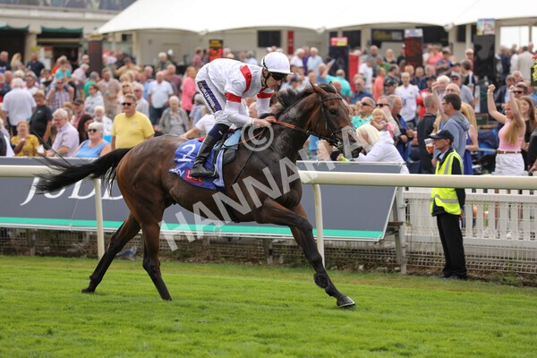 yr17082022r3-24 - Race 3 3.00pm Sky Bet Great Voltigeur Stakes