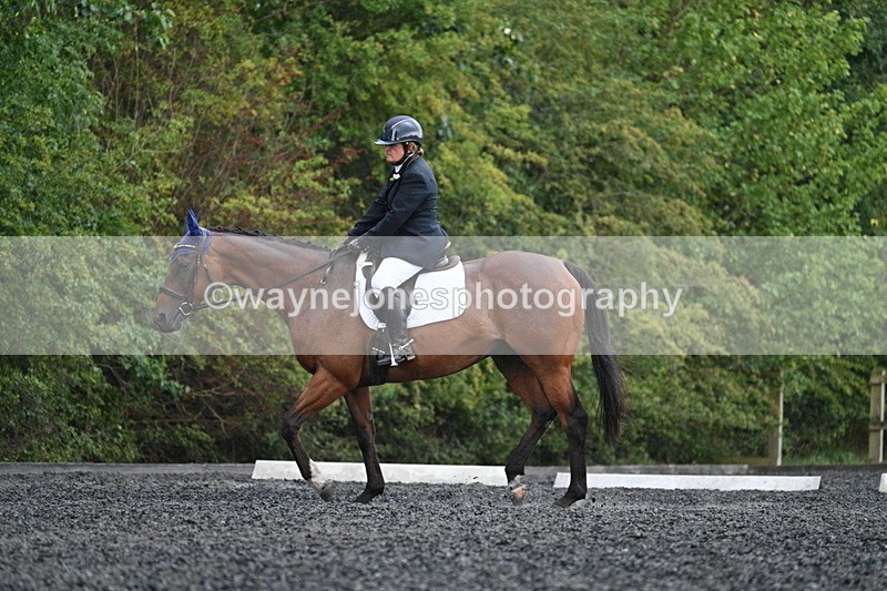 WJ7_7971 - Time 13:40 to 14:00