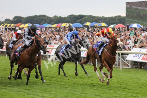 yr23072022r2-26 - Race 2 2.40pm Sky Bet Dash