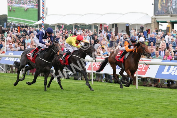 yr19082021r2-21 - Race 2 2.25pm Goffs UK Premier Yearling Stakes