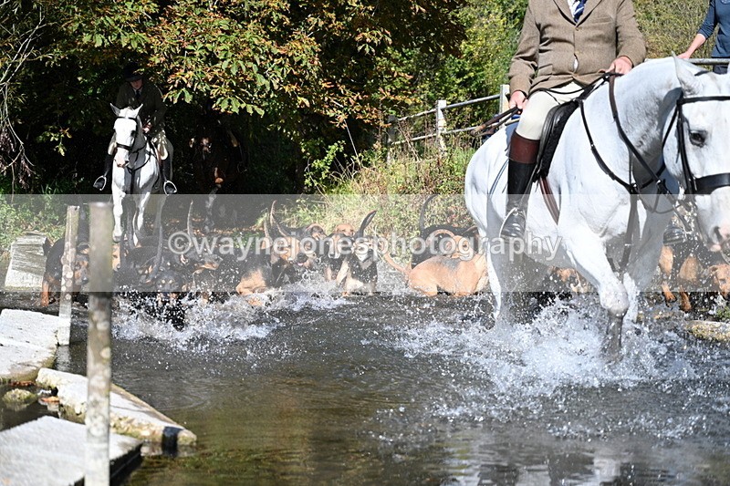 WJ7_5950 - Hounds Water Crossing
