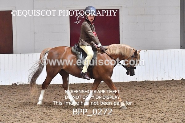 BPP_0272 - RING 1