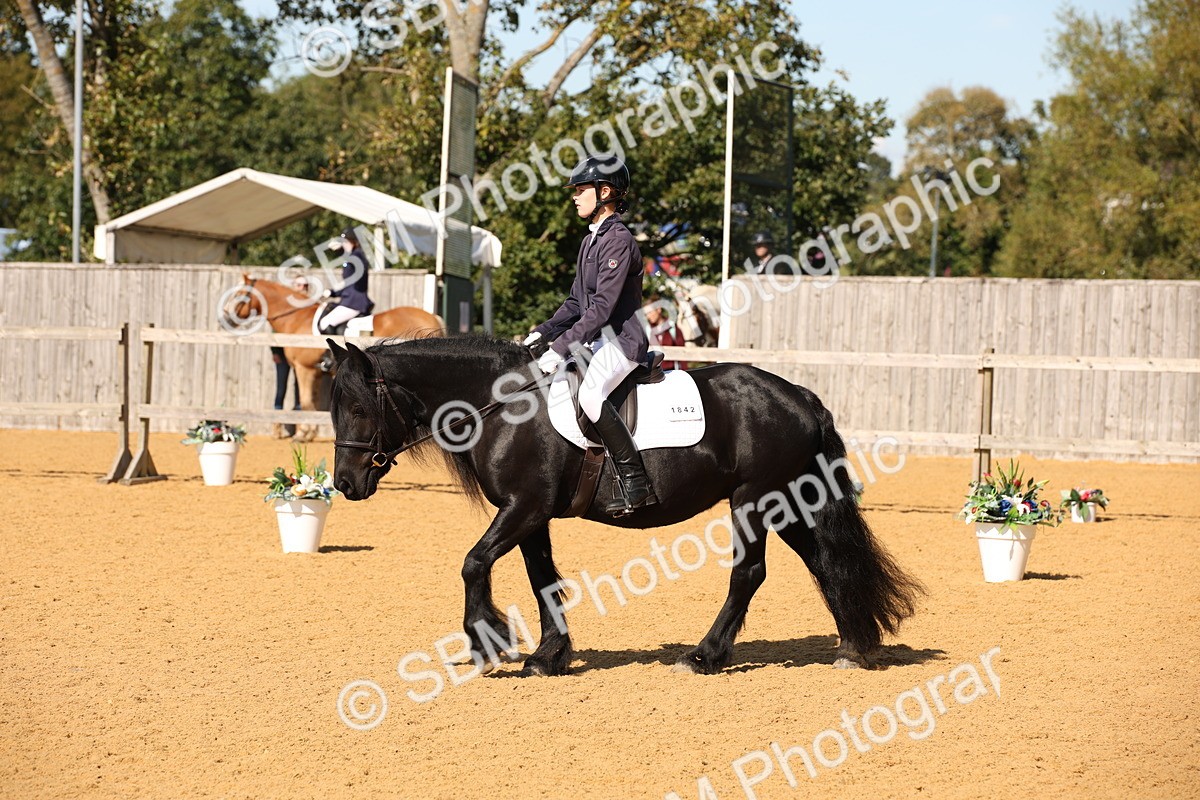 SBM_24176 - D5 - Small Tour Championship - Intro C