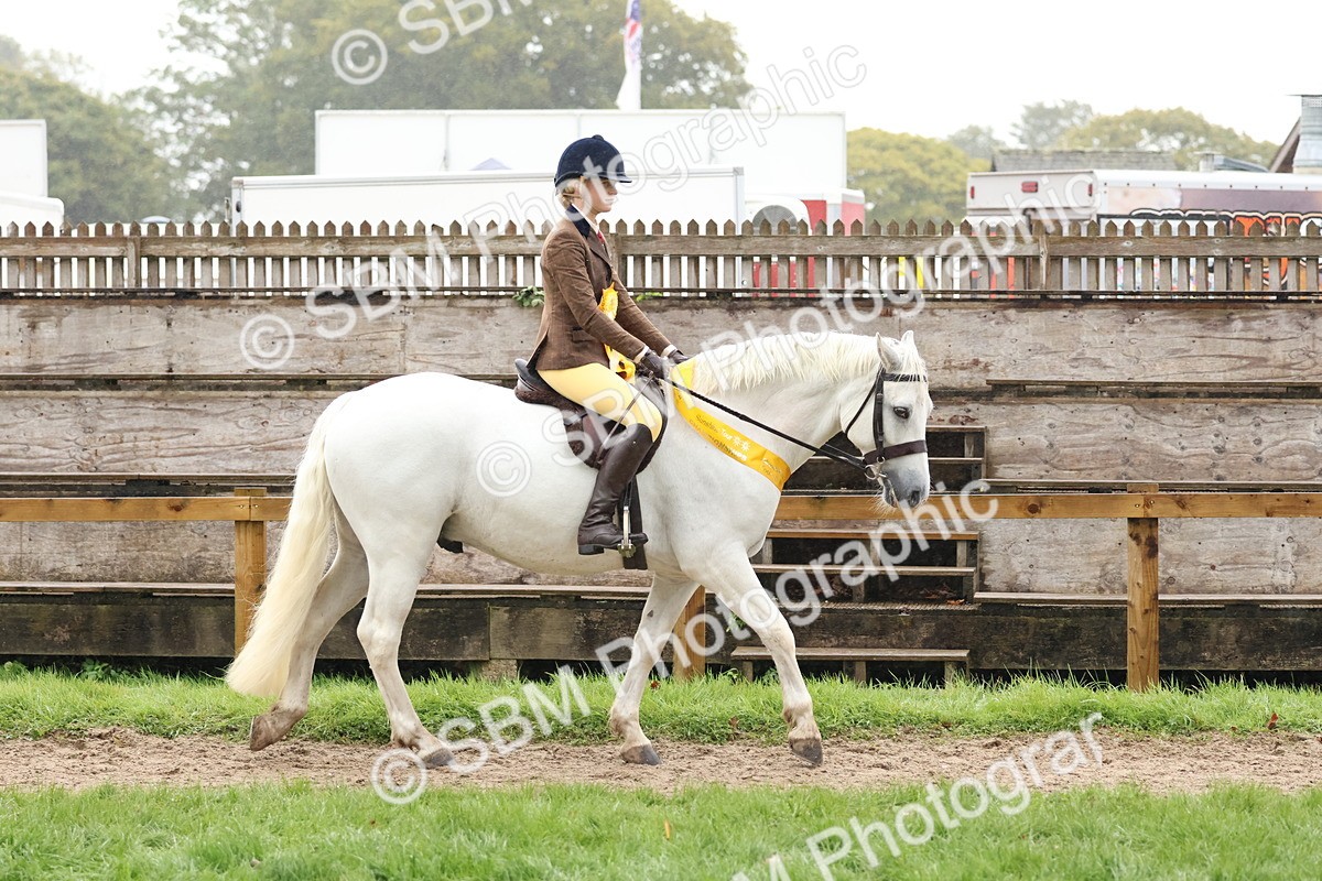 SBM_73089 - Ridden Pony Supreme Championship