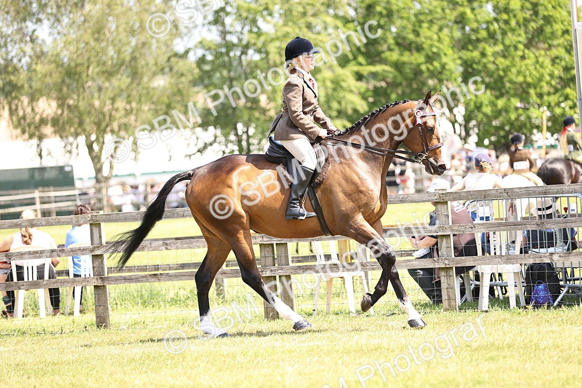 SBM_14865 - Class 78 - LIHS BSHA Open Racehorse & Show Horse
