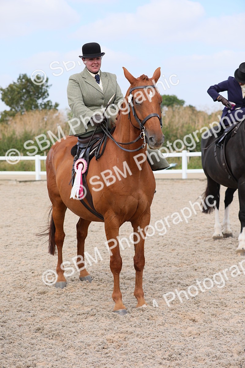 SBM_14624 - Class 211 Best Side Saddle Horse/Pony