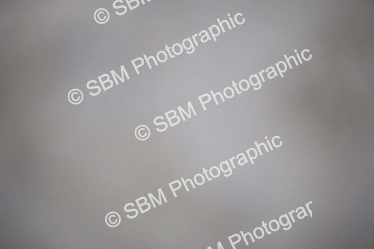 SBM_002122 - 90cm-1.00m