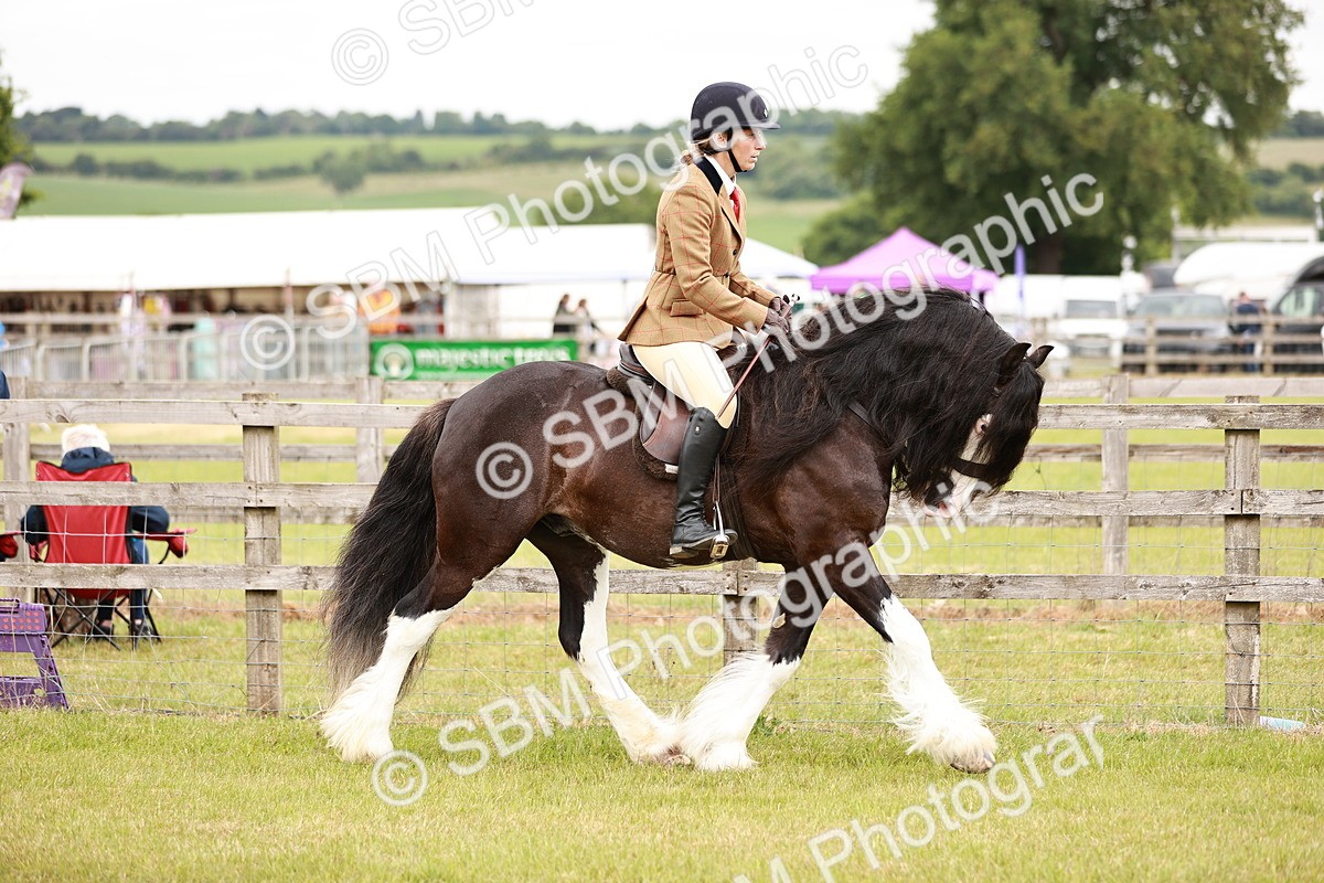 SBM_06100 - Class 39-41 TGCA In Hand and Ridden