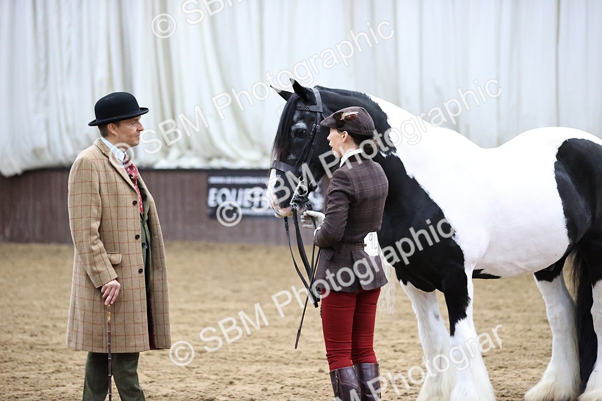 SBM_5658 - Class 40 - RESS In Hand Qualifier