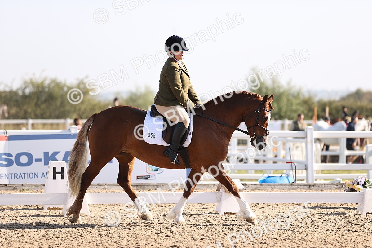 SBM_01643 - Class 34 Prelim 3