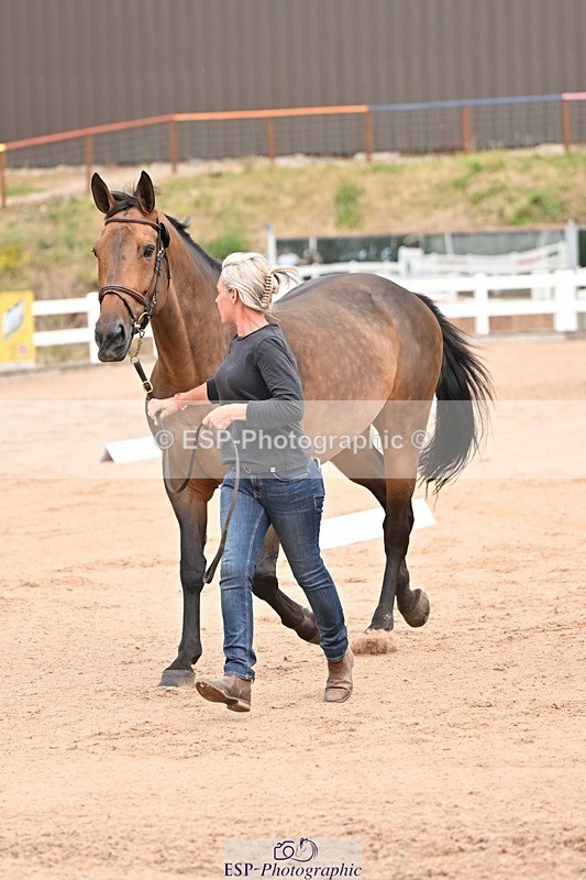 250716-150616-01626 - Trot Up 2.30 to 3.30