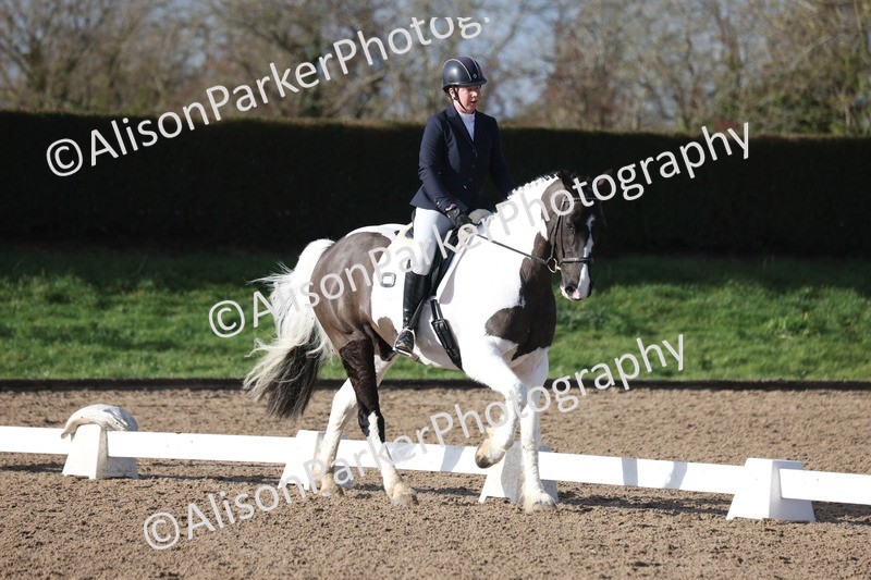 20260128-0505 - Class 4 - Novice 5