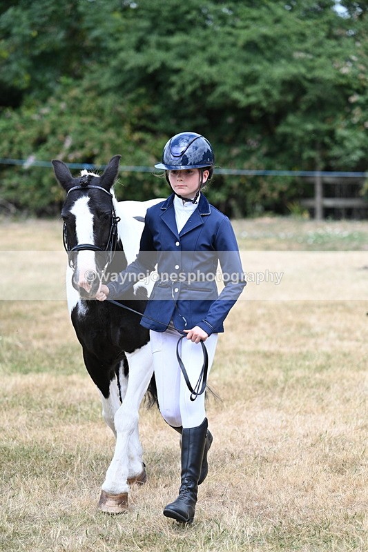 WJ7_1684 - Class 4 Prettiest Mare up to 14.2hh in hand