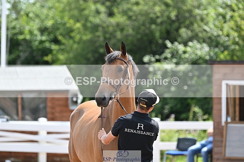 240717A-151457-02681 - Trot Up 3pm to 4pm