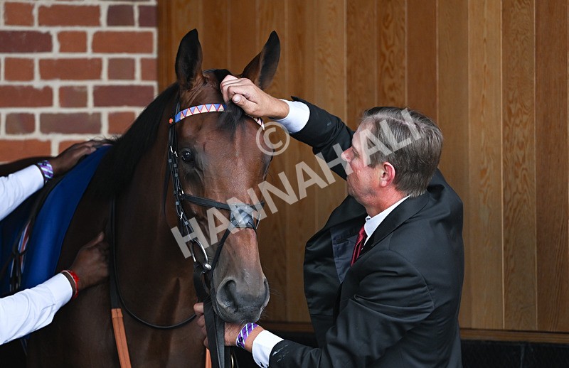 220826-170 Opportunity - Race 4 15.35pm Sky Bet Ebor Handicap