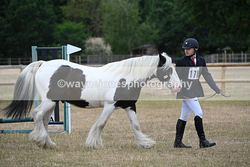 WJ6_7811 - Class 10 Coloured in Hand